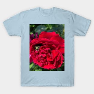 Red garden rose and bug T-Shirt